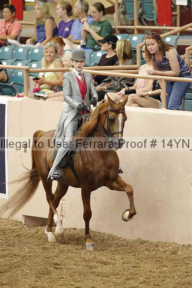 Proof 14yn_02422