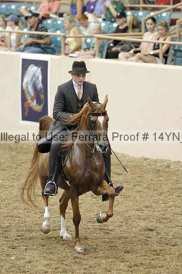 Proof 14yn_02423
