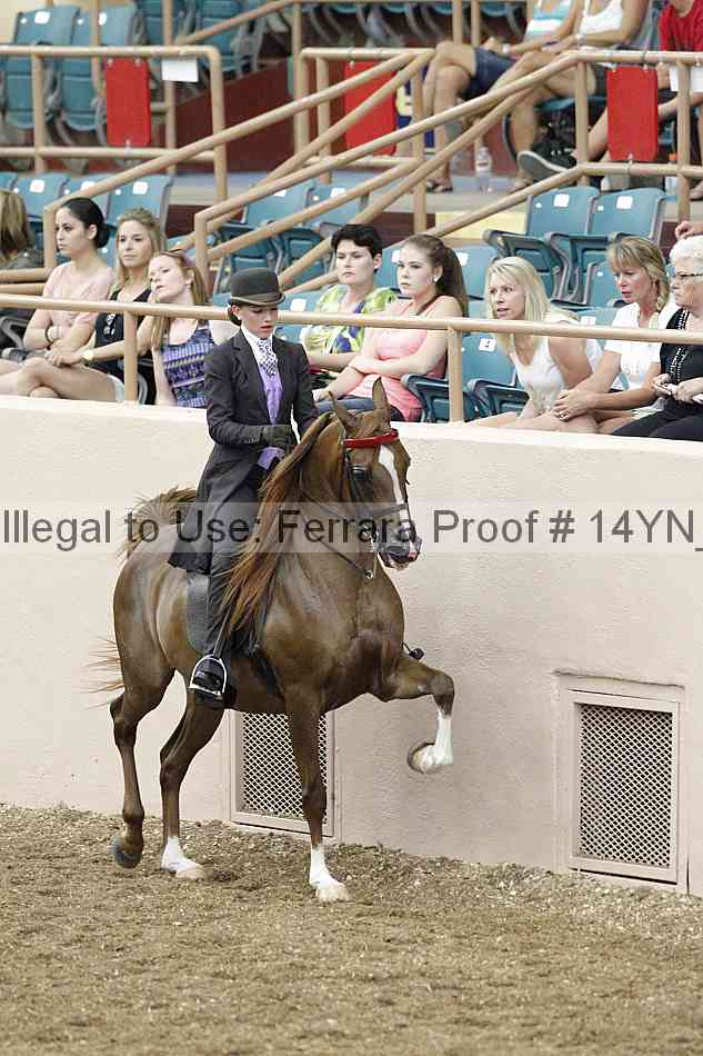 Proof 14yn_02425