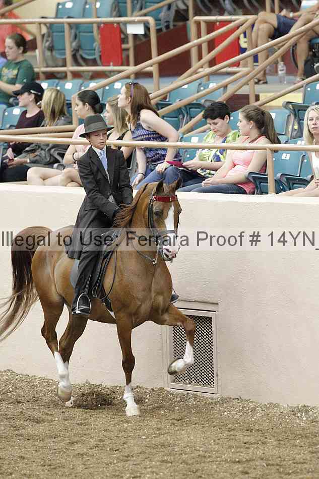 Proof 14yn_02426