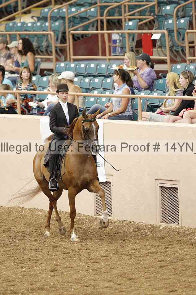 Proof 14yn_02427