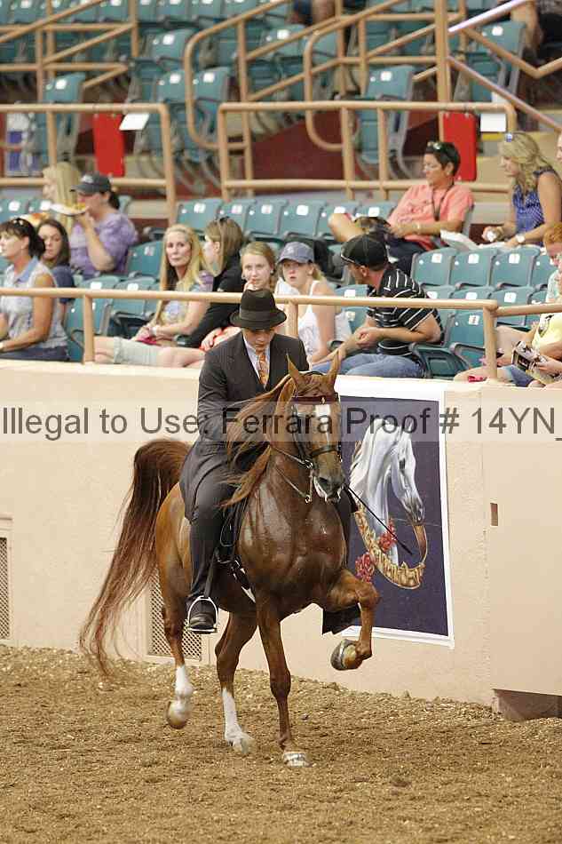 Proof 14yn_02428