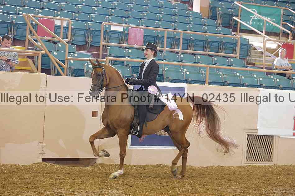Proof 14yn_02435