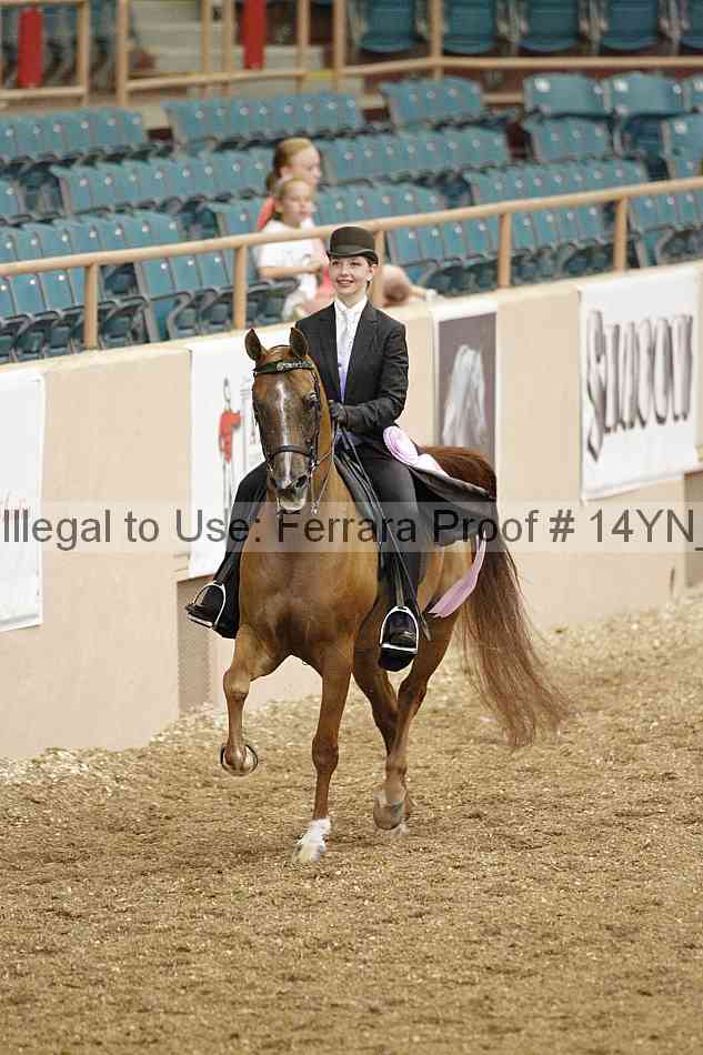 Proof 14yn_02436