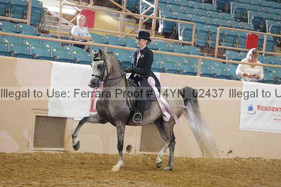 Proof 14yn_02437