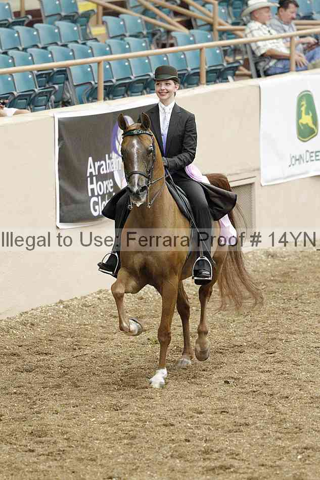 Proof 14yn_02438
