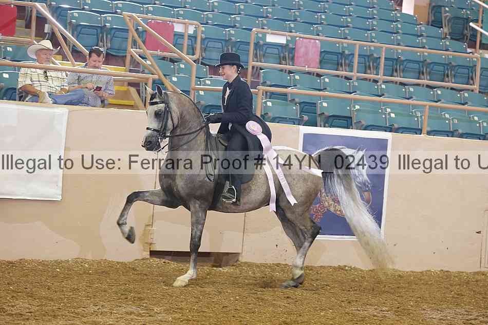 Proof 14yn_02439