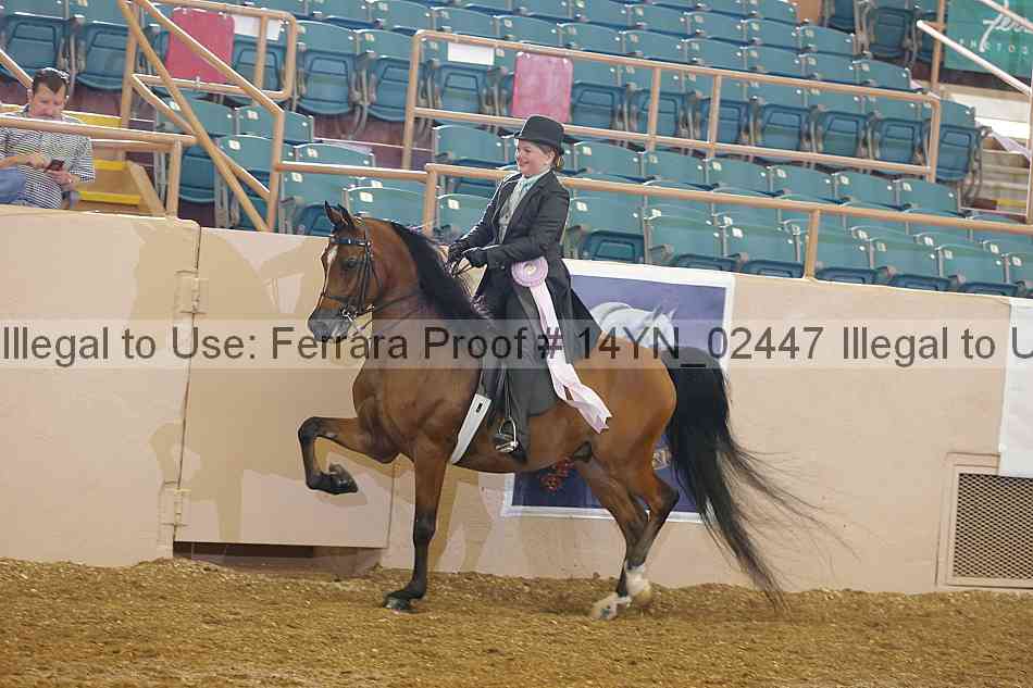 Proof 14yn_02447