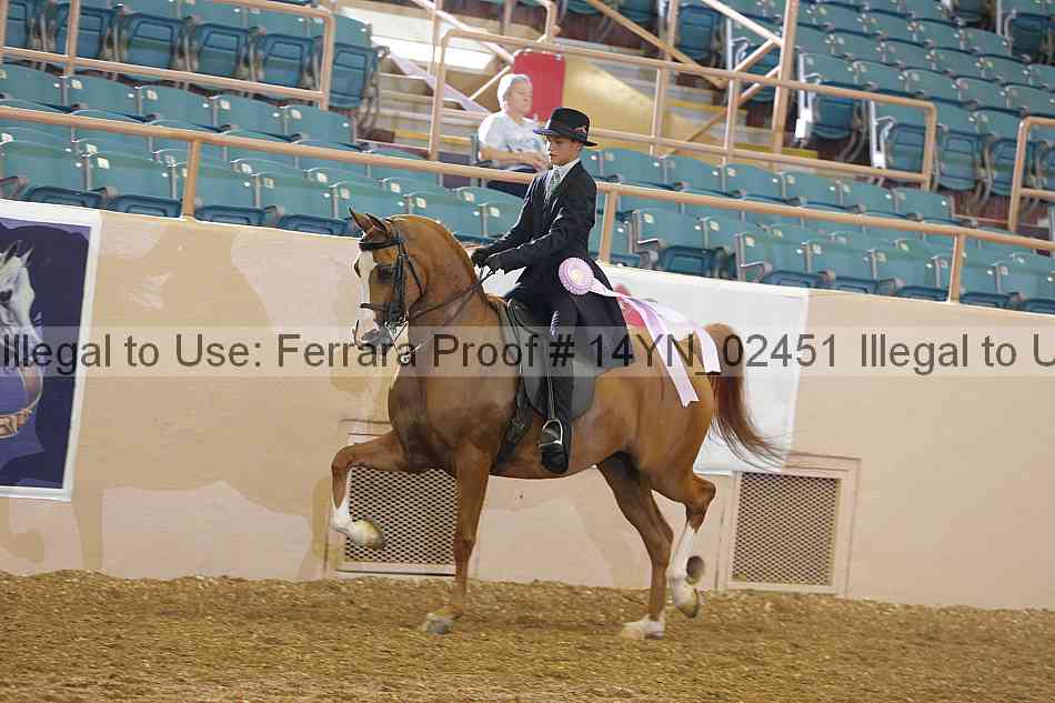 Proof 14yn_02451