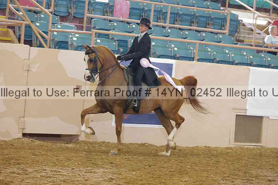 Proof 14yn_02452