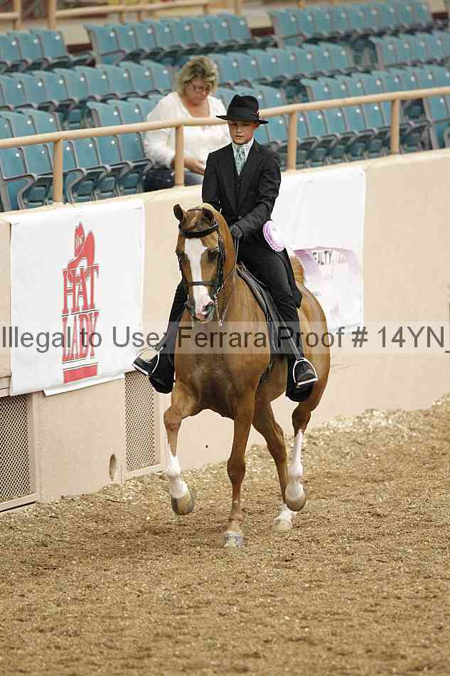 Proof 14yn_02453