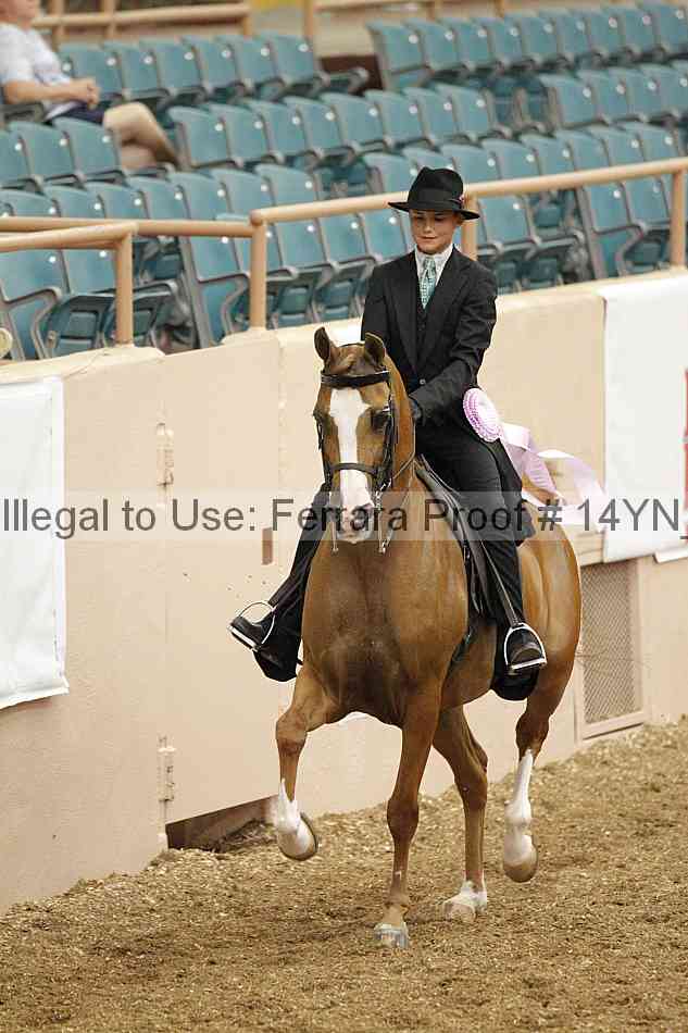 Proof 14yn_02454
