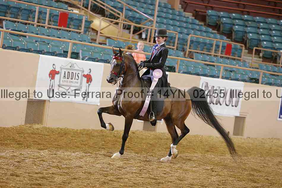 Proof 14yn_02455