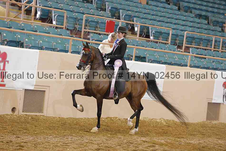 Proof 14yn_02456