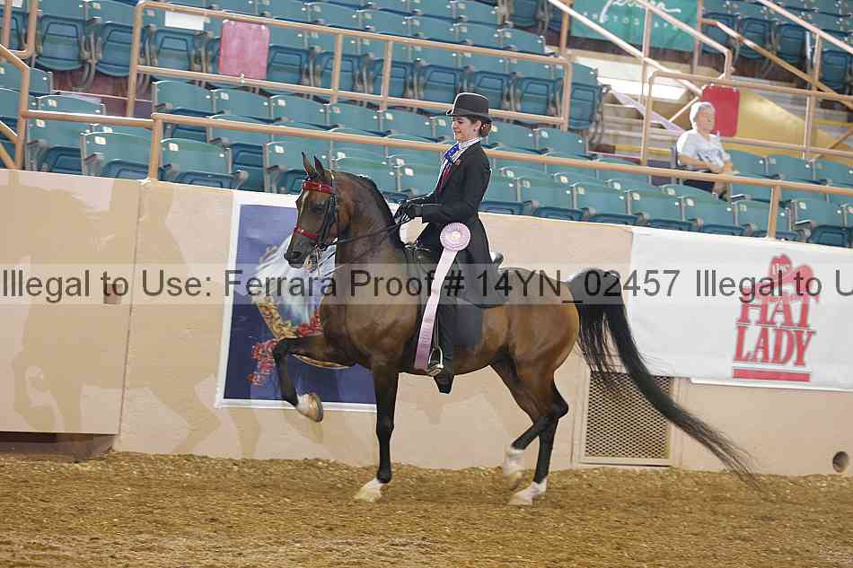 Proof 14yn_02457