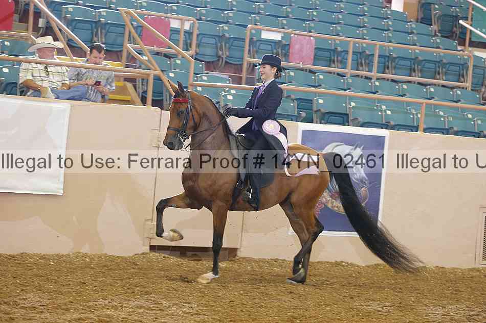 Proof 14yn_02461