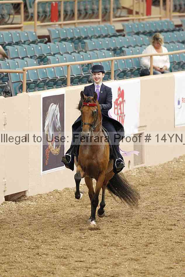 Proof 14yn_02463