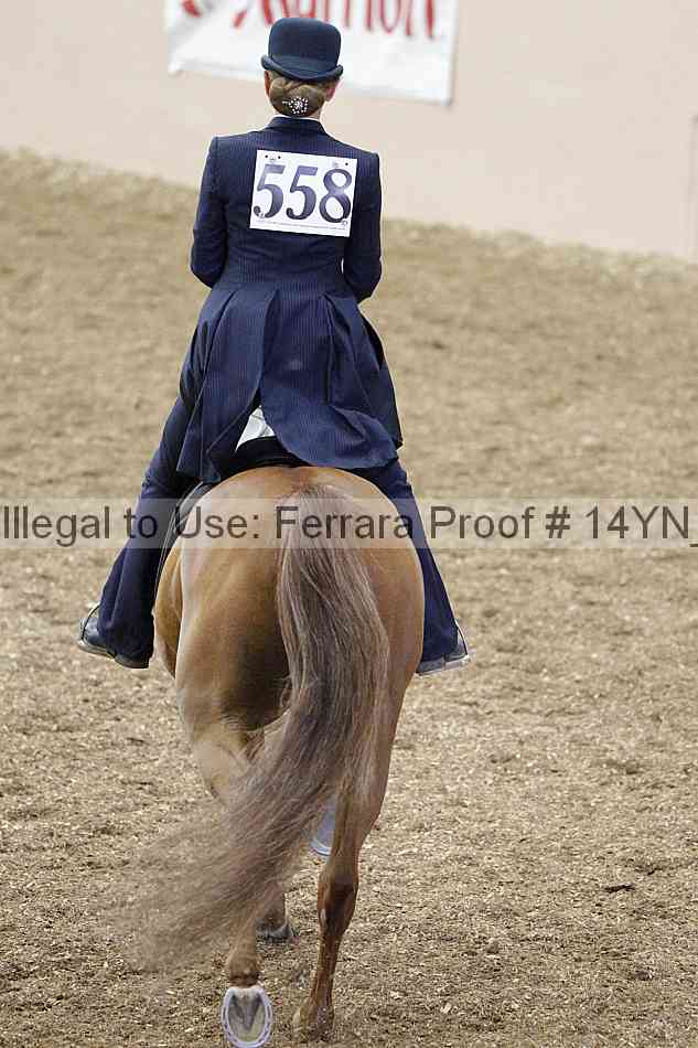Proof 14yn_02465
