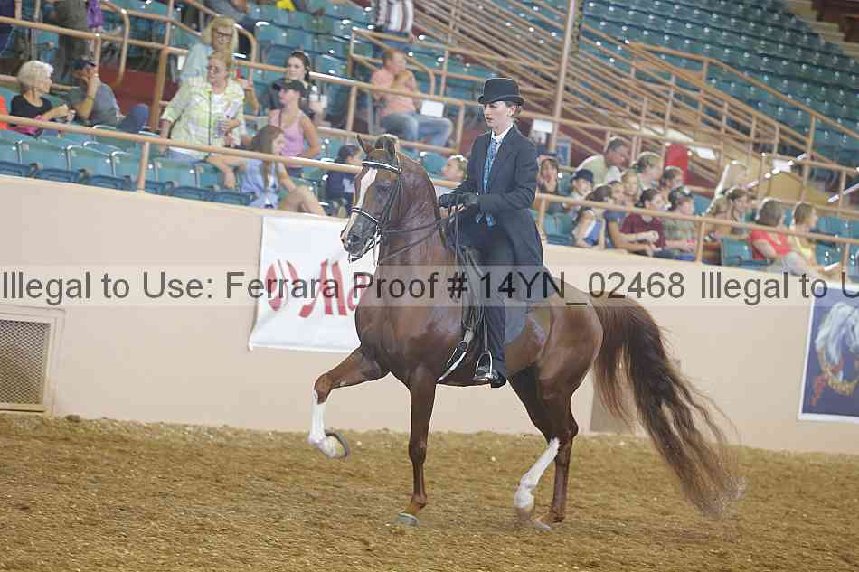Proof 14yn_02468