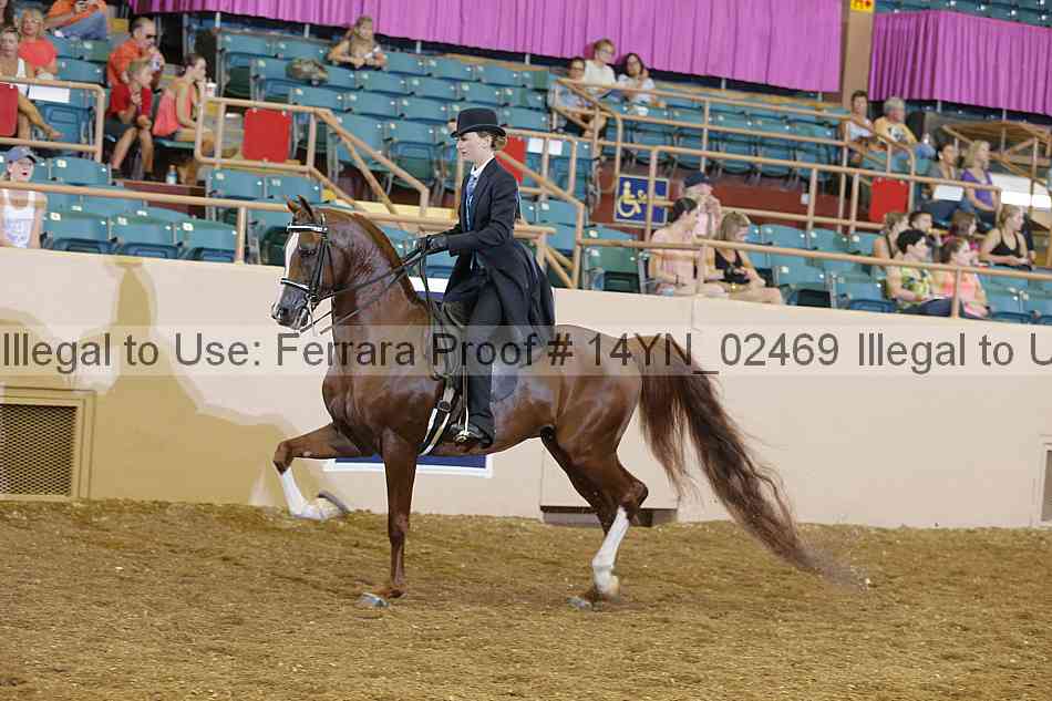 Proof 14yn_02469