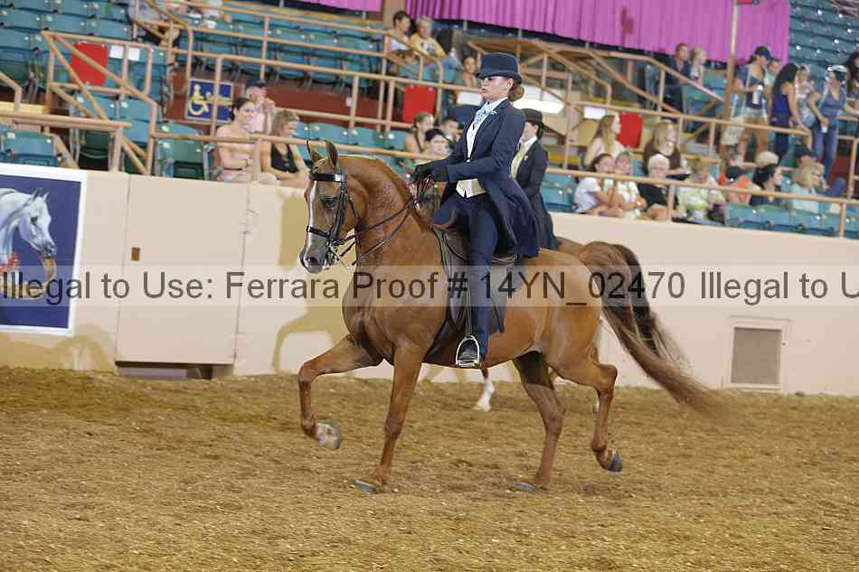 Proof 14yn_02470