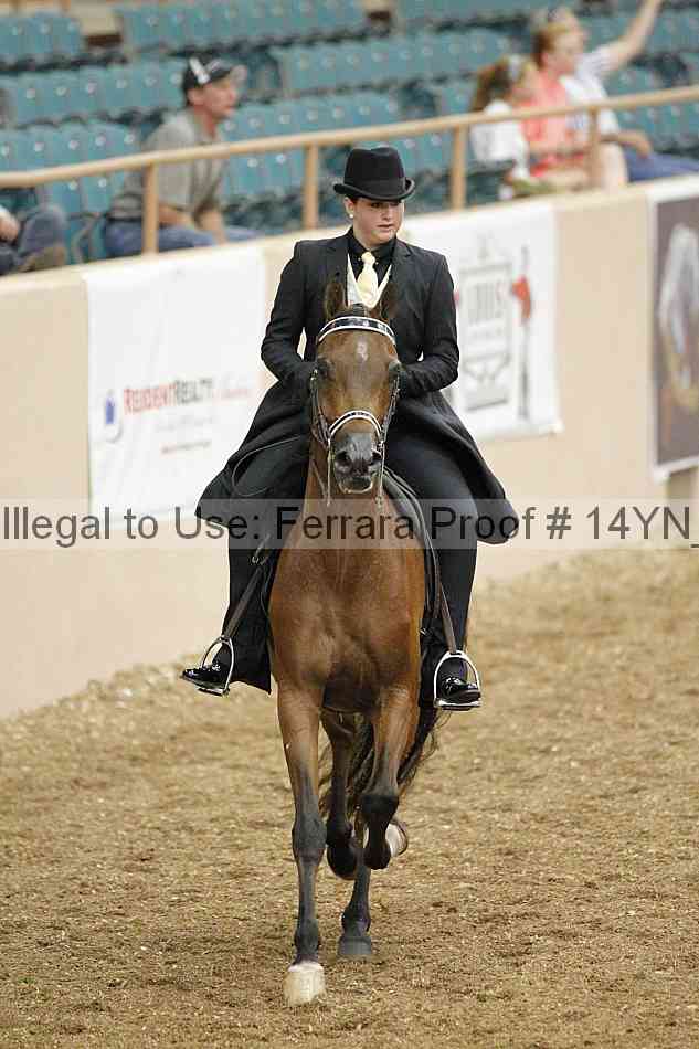 Proof 14yn_02471