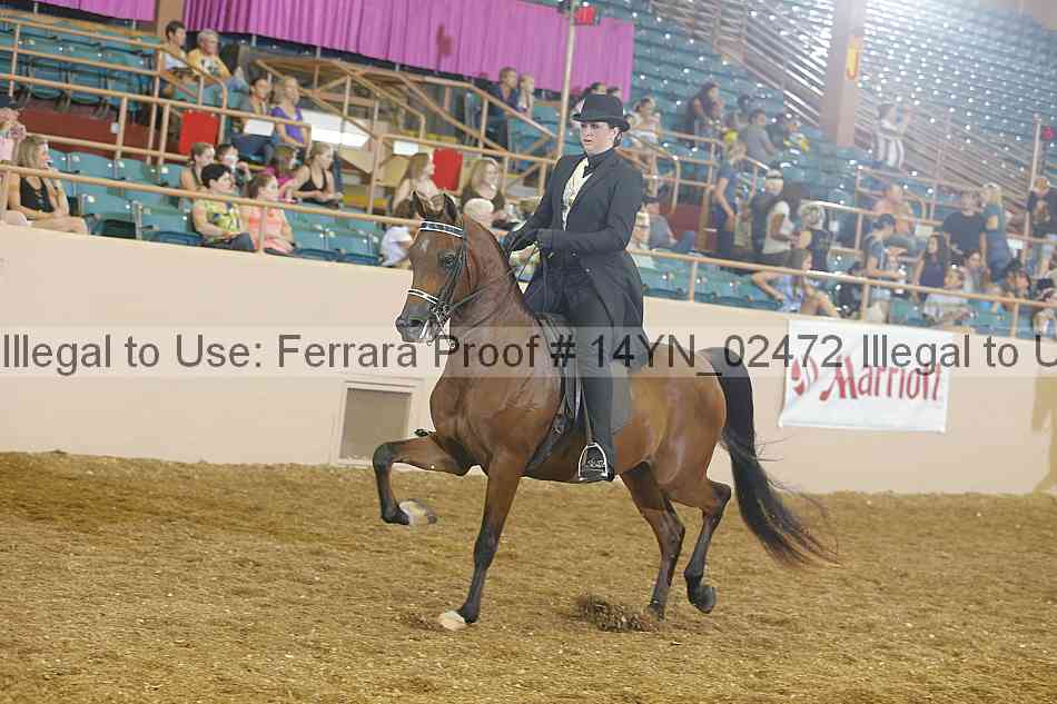Proof 14yn_02472