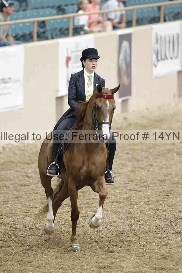 Proof 14yn_02474