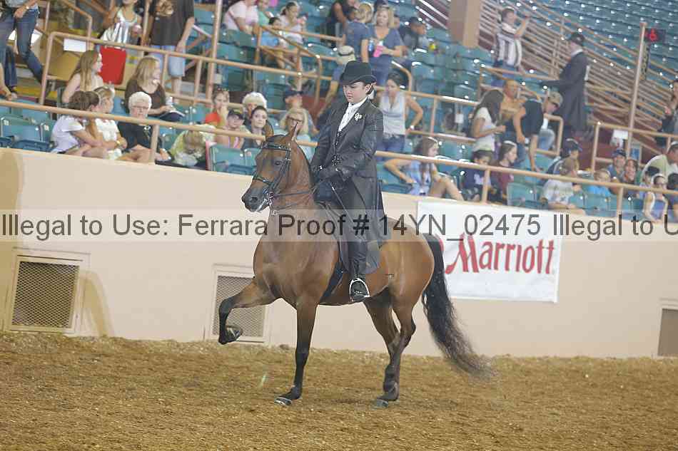 Proof 14yn_02475