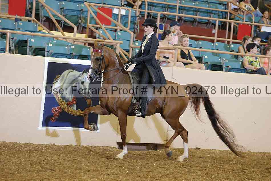 Proof 14yn_02478