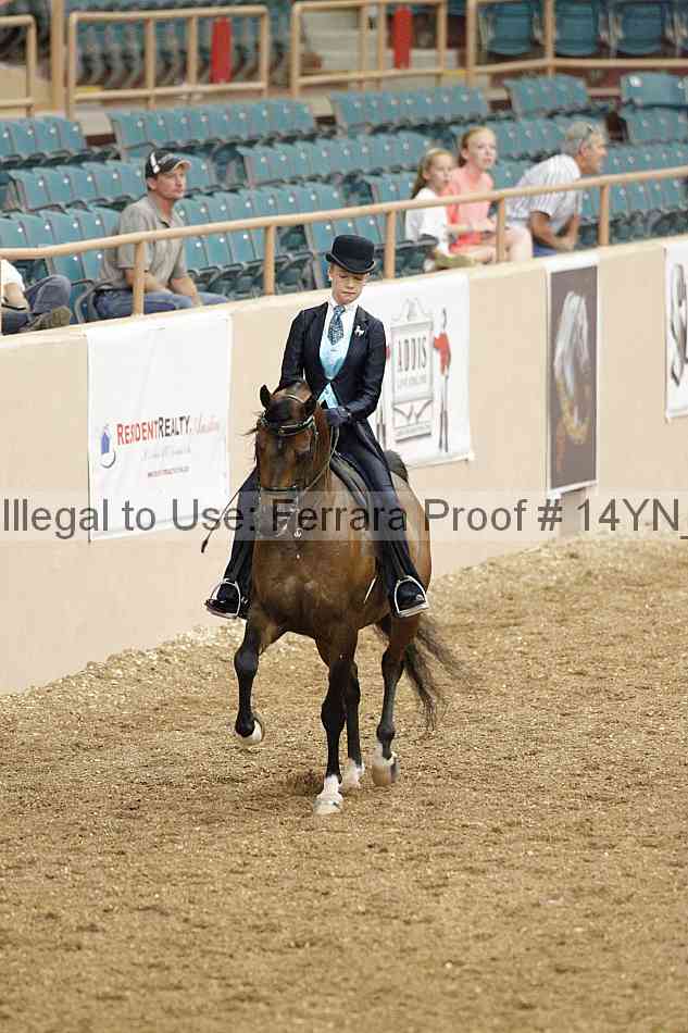 Proof 14yn_02481