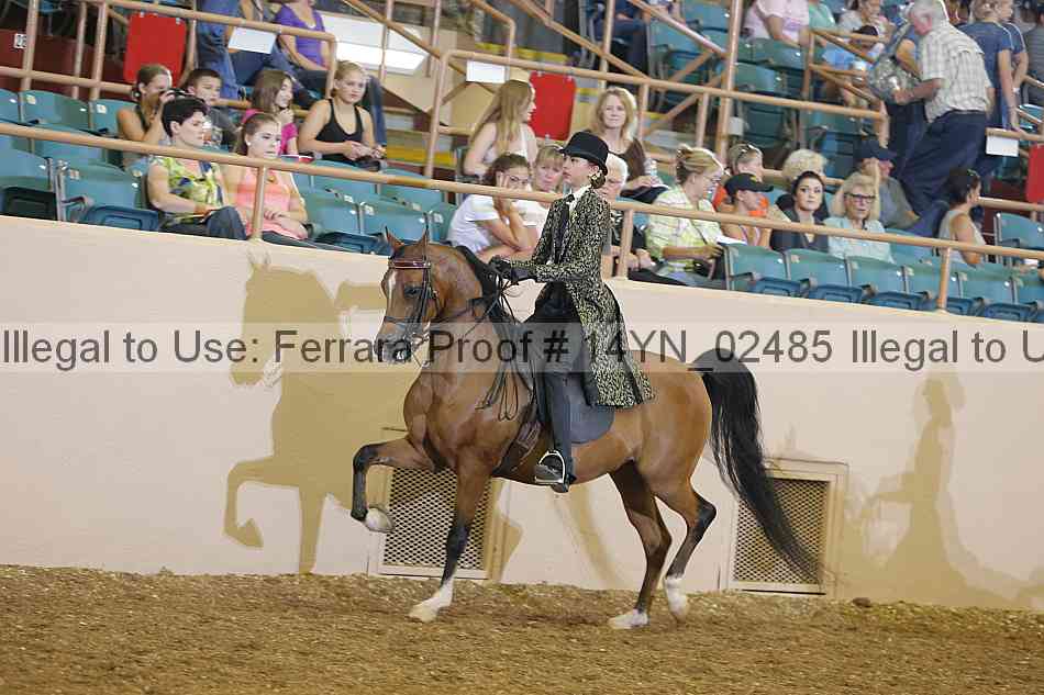 Proof 14yn_02485