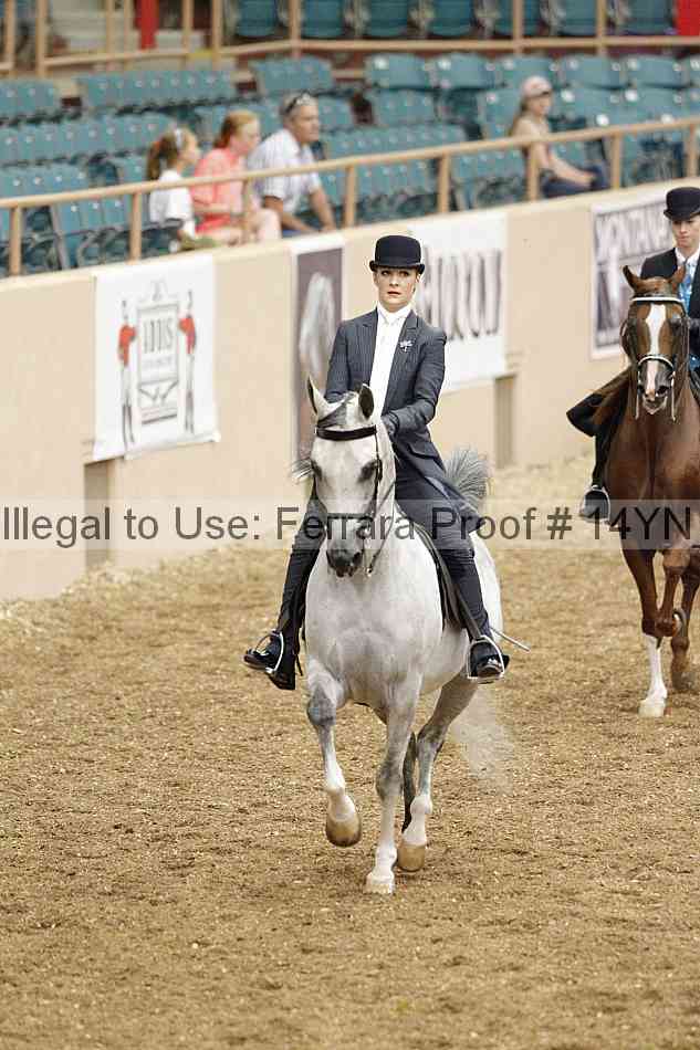 Proof 14yn_02491