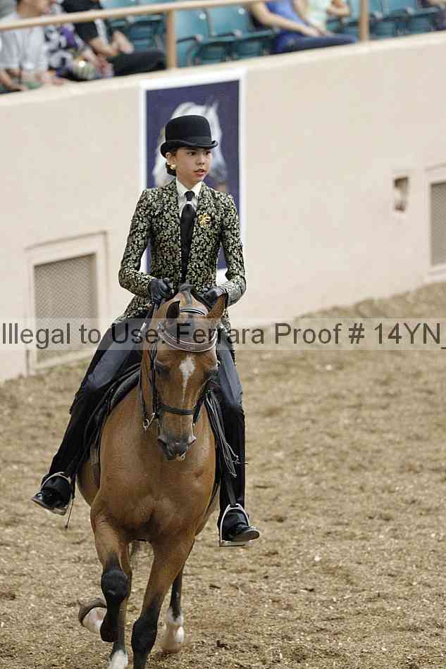 Proof 14yn_02493