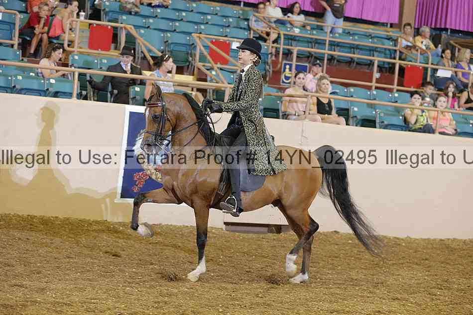 Proof 14yn_02495