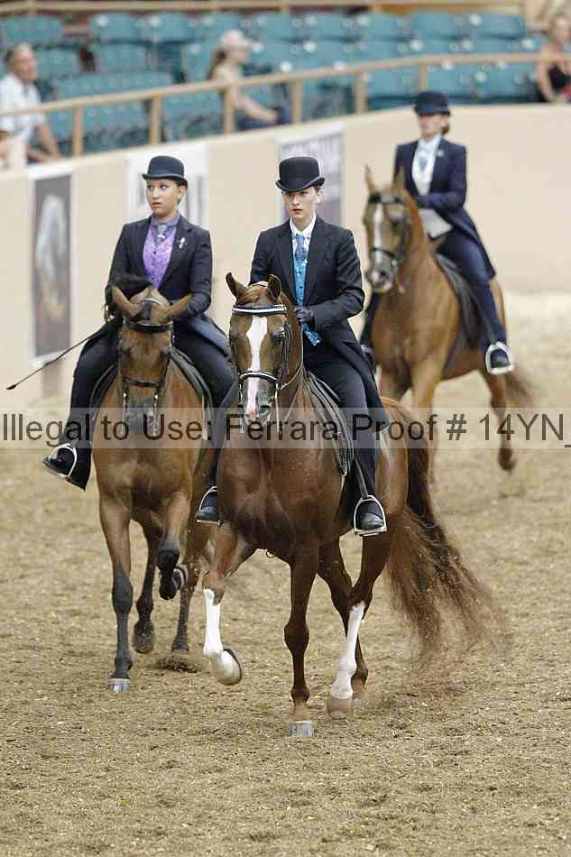 Proof 14yn_02496