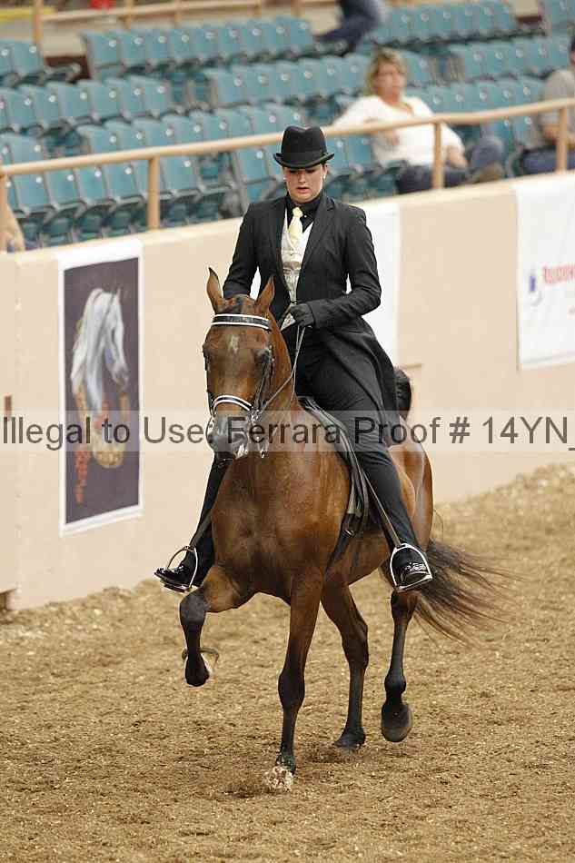 Proof 14yn_02497