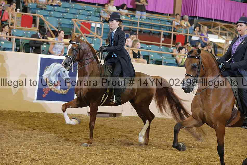 Proof 14yn_02499