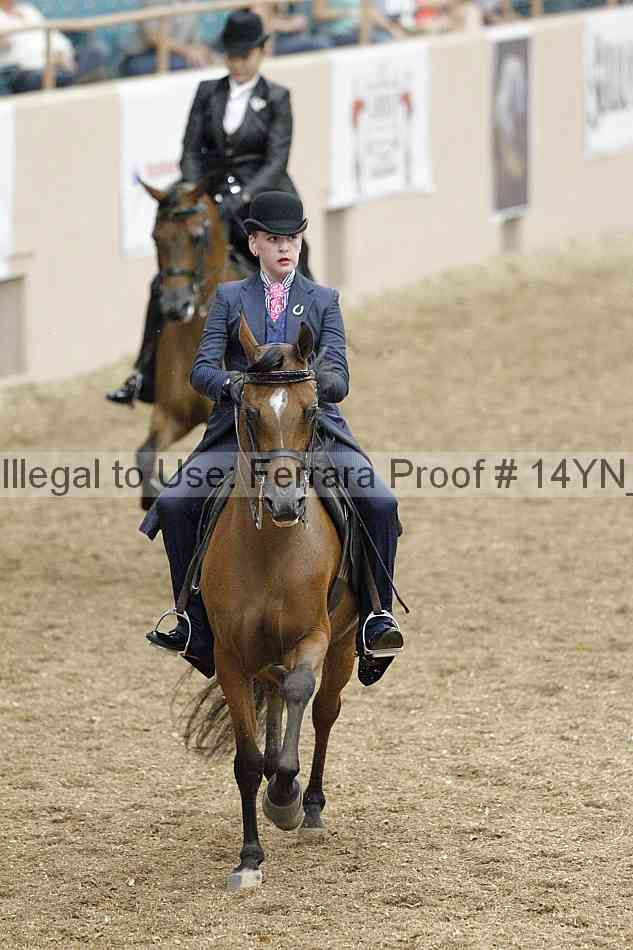 Proof 14yn_02501