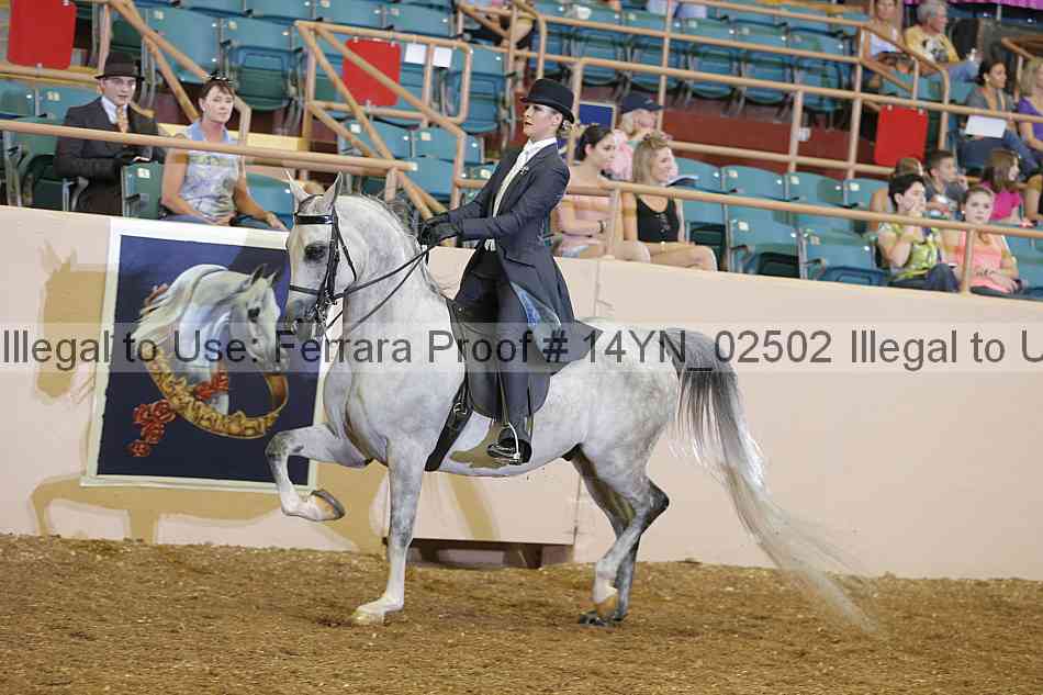 Proof 14yn_02502