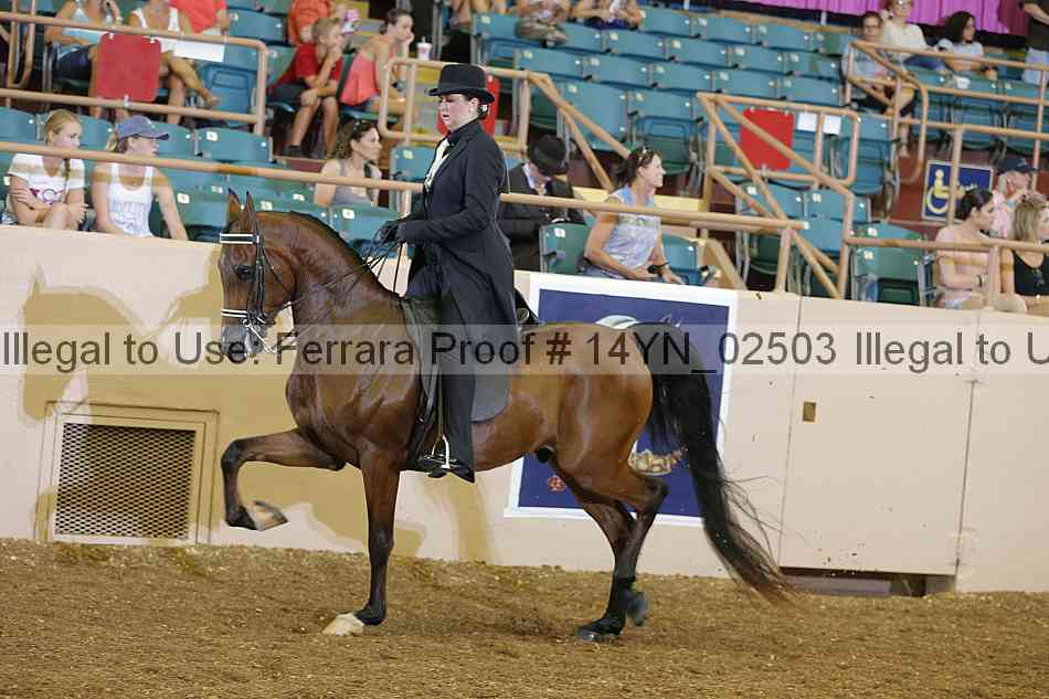 Proof 14yn_02503