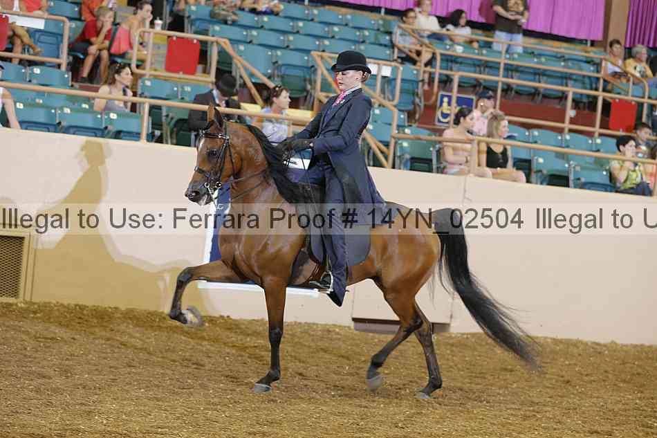 Proof 14yn_02504