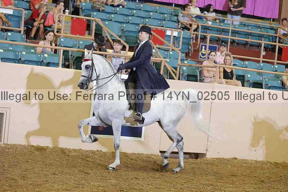 Proof 14yn_02505