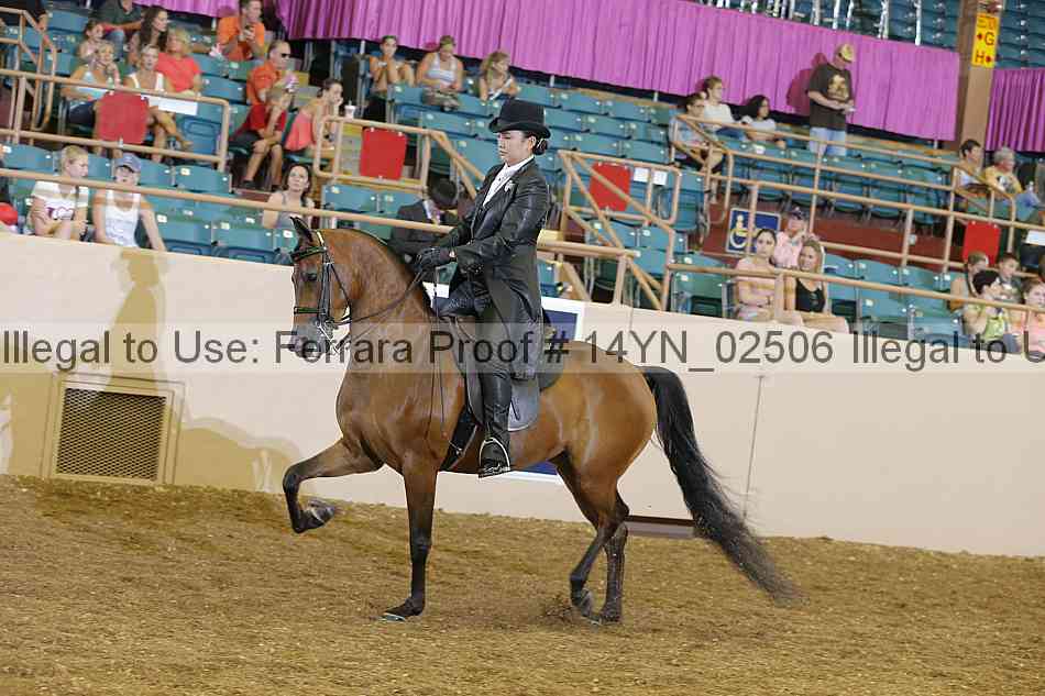 Proof 14yn_02506