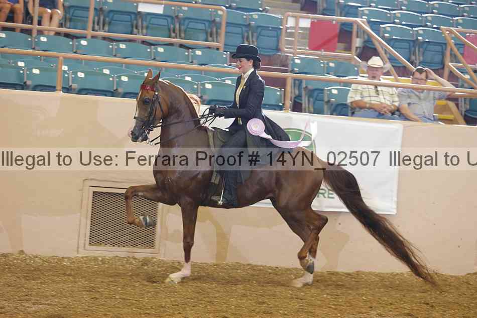 Proof 14yn_02507