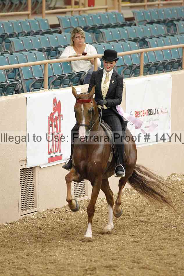 Proof 14yn_02508