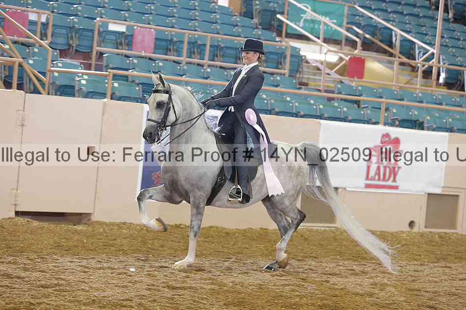 Proof 14yn_02509