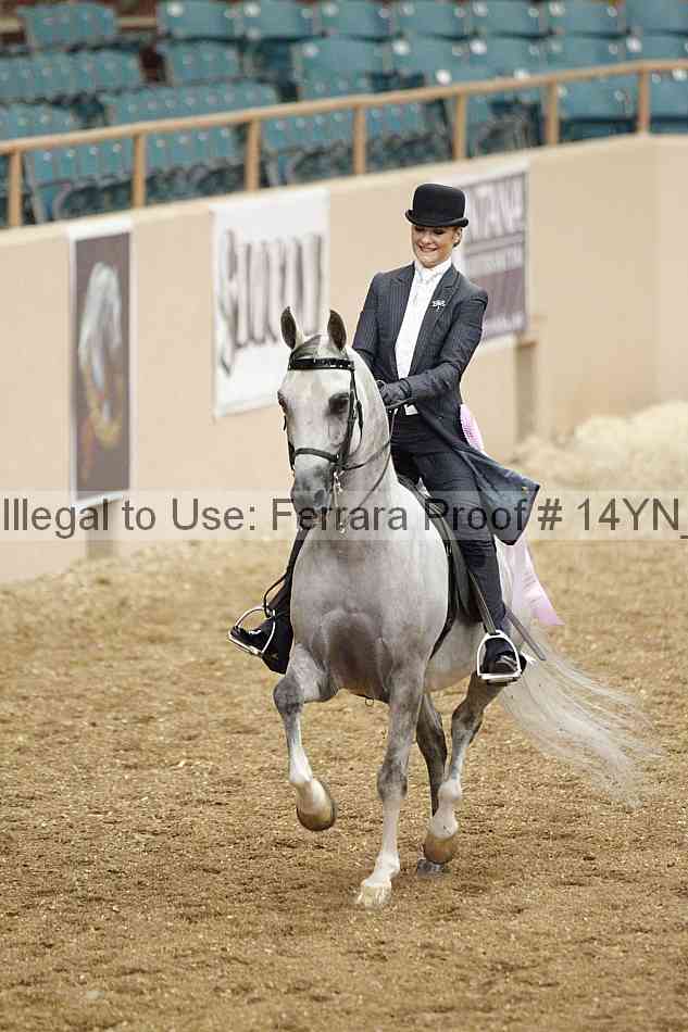 Proof 14yn_02510