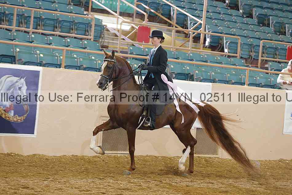 Proof 14yn_02511