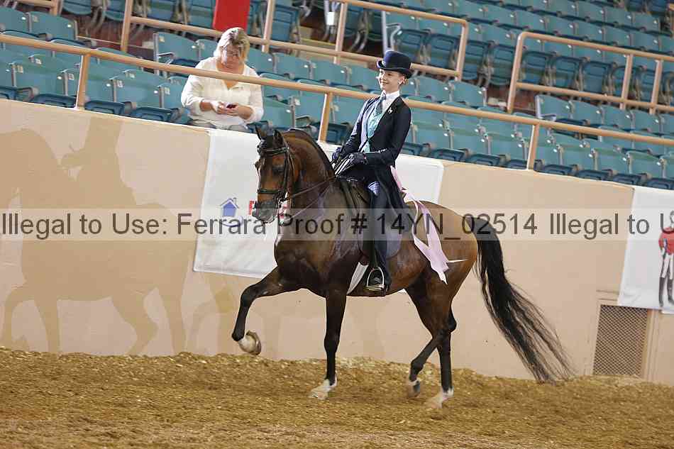 Proof 14yn_02514